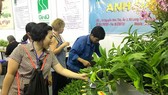 Người tiêu dùng chọn mua hoa kiểng