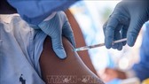 EU cho lưu hành vaccine ngừa virus Ebola