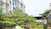 Lực lượng TNXP thành phố sử dụng nhà, đất, góp vốn không hiệu quả
