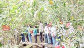 Students visit Xeo Quyt in Dong Thap province Photo: SGGP