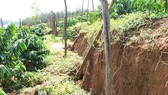 Tìm nguyên nhân sạt lở đất tại Đắk Nông