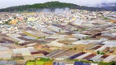 Hạn chế tác động của nhà kính đối với cảnh quan Đà Lạt