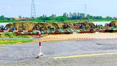 ĐBSCL chật vật chống sạt lở