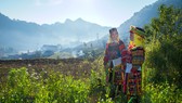 Kỳ diệu Lô Lô Chải