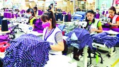 Công việc vất vả nhưng thu nhập chưa được cao, khiến cho cuộc sống người công nhân may không đảm bảo, không có thời gian chăm sóc gia đình