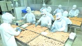Thu hút vốn FDI vào công nghiệp chế biến