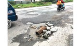 Lấy đá to lấp ổ gà, nguy hiểm khó lường