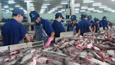 Mỹ giảm thuế chống bán phá giá với cá tra Việt Nam