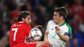 Joe Allen (trái, Xứ Wales) và Seamus Coleman (CH Ailen)