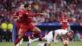 Van Dijk (Liverpool) và Harry Kane (Tottenham)