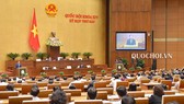 Dự thảo Luật Trồng trọt còn bỏ trống giống cây trồng biến đổi gen