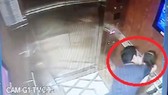 Hình ảnh camera ghi lại cảnh ông Nguyễn Hữu Linh có hành vi ôm hôn, sàm sỡ bé gái trong thang máy ở một chung cư tại quận 4, TPHCM.