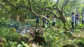 Hiện trường vụ việc