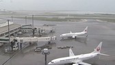Hủy nhiều chuyến bay đi, đến Nhật Bản và Hàn Quốc do bão Tapah