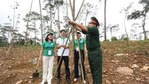 Thực hiện di chúc lời Bác dạy, Khu di tích K9 trồng hàng trăm cây Chò