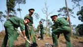 Phủ xanh 2.000 cây Thông Mã Vĩ trên đồi cây “Dâng Bác – Ơn Thầy”