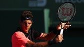 Juan Martin del Potro - "Tòa tháp xứ Tandill"
