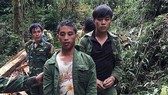 Bắt 2 đối tượng đốn hạ cây sa mu quí hiếm