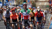 Elia Viviani ăn mừng chiến thắng đầu tiên