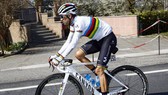 Alejandro Valverde