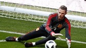 Thủ thành David De Gea (Tây Ban Nha)