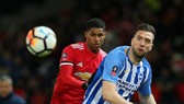 Nhận định Man United - Brighton: Quỷ đỏ bắn hạ chim mồng biển