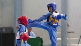 Các võ sĩ tham dự nội dung đối kháng. Ảnh: Dũng Phương