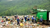 Đà Nẵng: Cùng bắt tay “khai tử” ống hút nhựa
