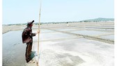 Nguy cơ mai một làng muối Hộ Độ
