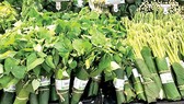Nhớ lá