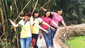 Đời tre