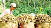 Quan trọng nhất là chất lượng sản phẩm