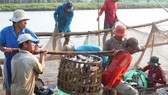 Dự báo xuất khẩu thủy sản năm 2019 giảm 1,2%