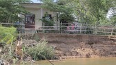 Sạt lở bủa vây ven sông Thạch Hãn, người dân thấp thỏm lo âu