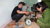 Nhận 20.000 đồng tiền công để vận chuyển 5 cá thể động vật quý hiếm