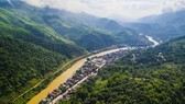 Ứng dụng công nghệ cao vào lĩnh vực lâm nghiệp ở Nghệ An