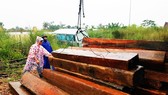 3 giờ sáng, kiểm lâm truy đuổi gay cấn chiếc xe ben màu xanh đang chở gỗ lậu