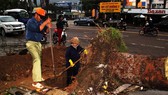 Dọn hàng ngàn tấn rác thải, khôi phục 2.000 cây xanh bị bão quật ngã