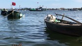 Hạ nguồn Thu Bồn sụt lún nghiêm trọng