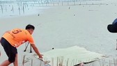 Phát hiện thi thể không còn đầu và tay chân trên biển