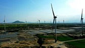 Đưa vào vận hành tổ hợp điện mặt trời và điện gió tại tỉnh Ninh Thuận. Ảnh QUỐC HÙNG