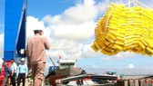 Expectations for first deepwater seaport in the Mekong Delta