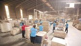 Processing wood for export. (Photo: SGGP)
