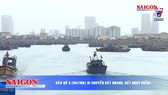 Điểm tin SGGP Online ngày 30-10-2019