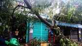 Tan hoang sau bão số 5, phố biển Quy Nhơn nỗ lực khắc phục thiệt hại