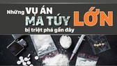 Những vụ án ma túy lớn bị triệt phá gần đây