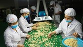 Ngành điều và “chiếc van” điều tiết