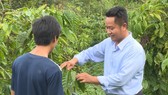 Tiến sĩ Phạm Công Trí hướng dẫn bà con xã Quảng Hoà xử lý sự cố. Ảnh: PHÚC NGUYỄN