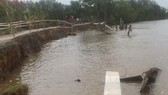 Công trình khắc phục sạt lở tuyến đê sông Gành Hào chưa hoàn thành đã bị… sạt lở