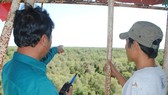 Cà Mau có mưa đầu mùa nhưng rừng tràm U Minh Hạ vẫn chưa “hạ nhiệt” nguy cơ cháy rừng